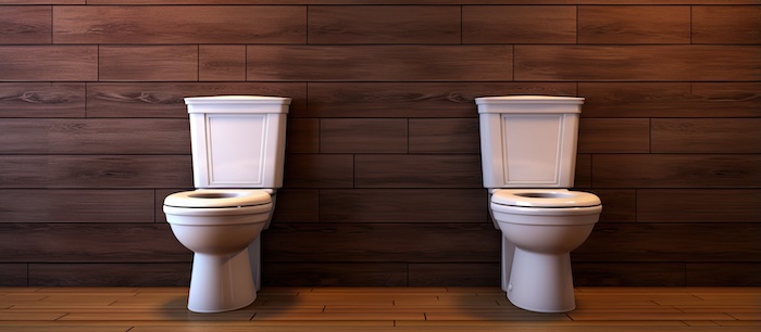 Picture of a toilet and a bidet on a wood floor in a restroom for an article: Southern MD Plumbers Clog Guide